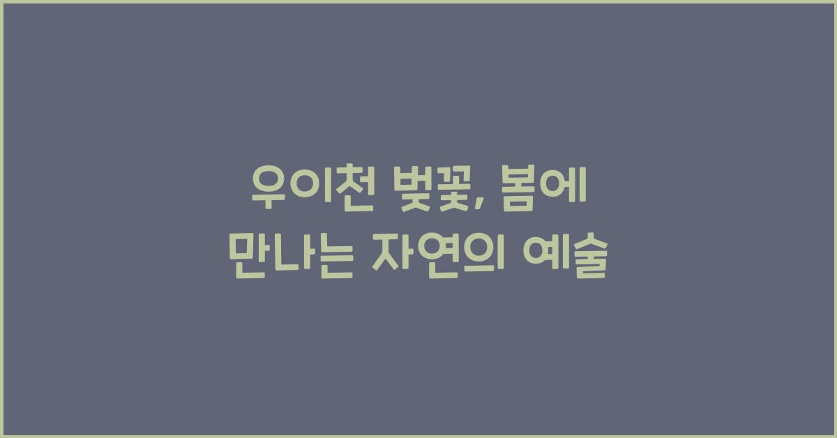 우이천 벚꽃