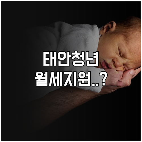 태안군 청년 월세 지원 사업 자주 묻..