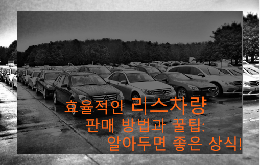 효율적인 리스차량 판매 방법과 꿀팁: 알아두면 좋은 상식!