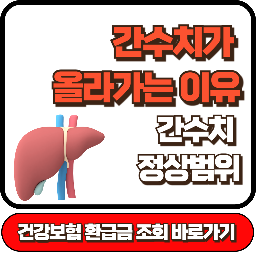 간수치가 올라가는 이유, 간수치 정상범위, 간수치 낮추는 방법