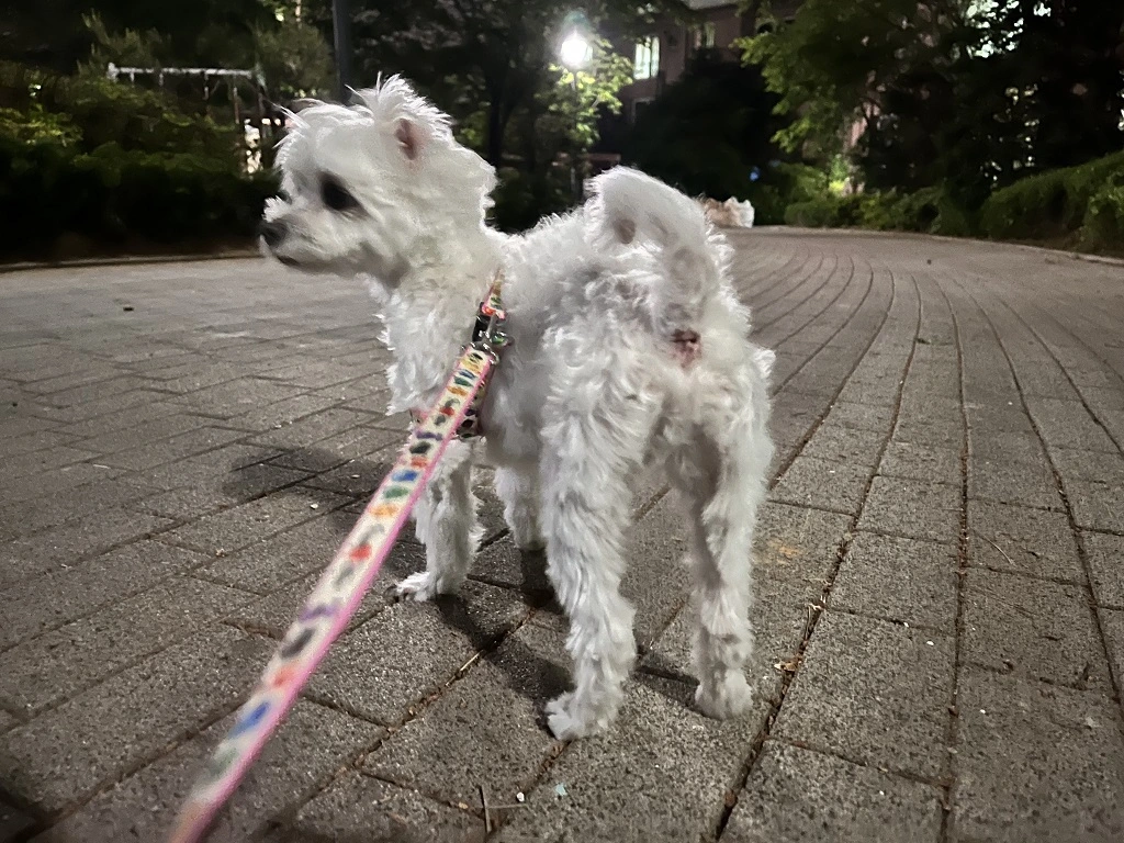 엉덩이와-함께