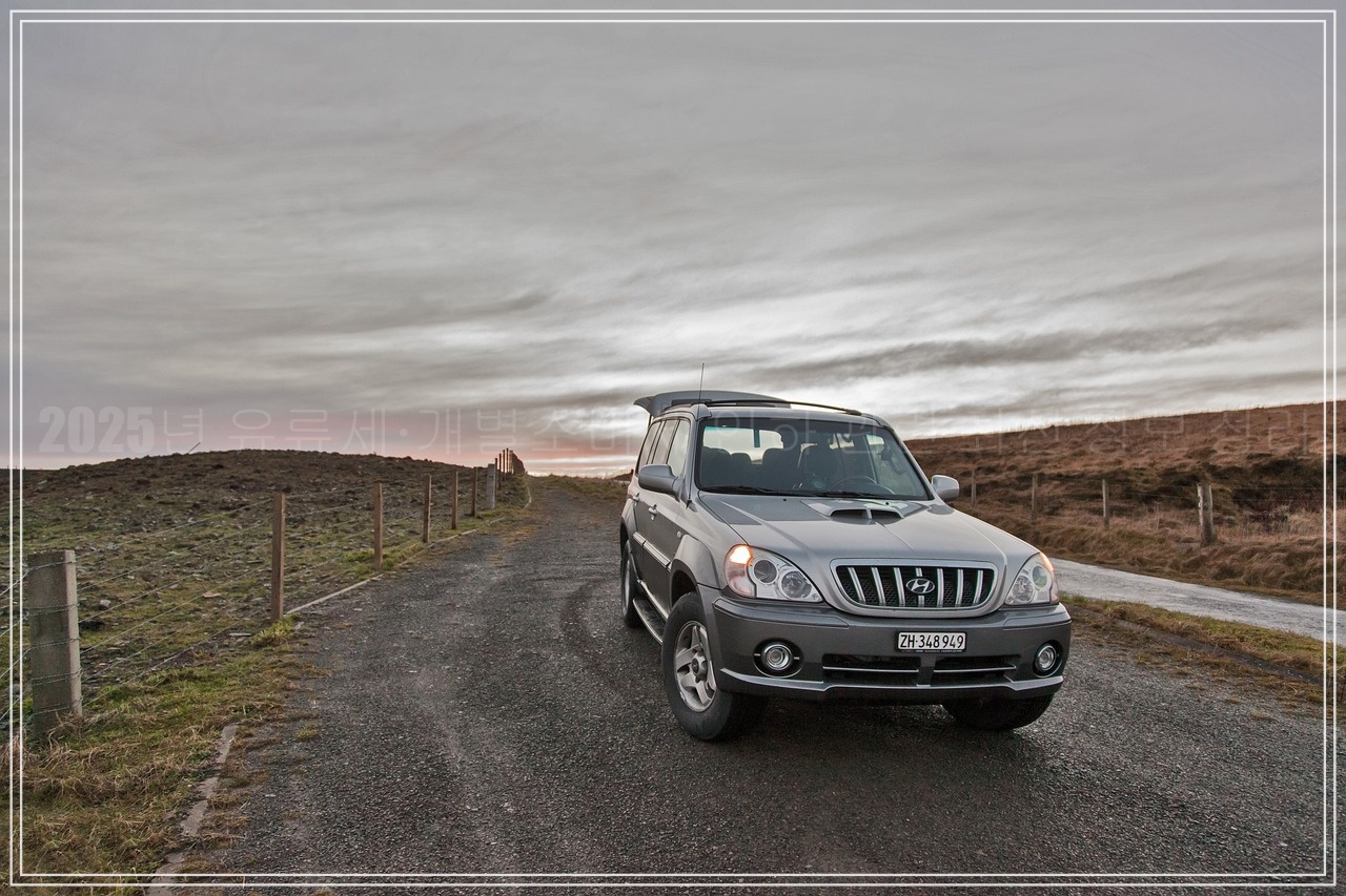 2025년 유류세·개별소비세 인하 관련 최신 정보 정리