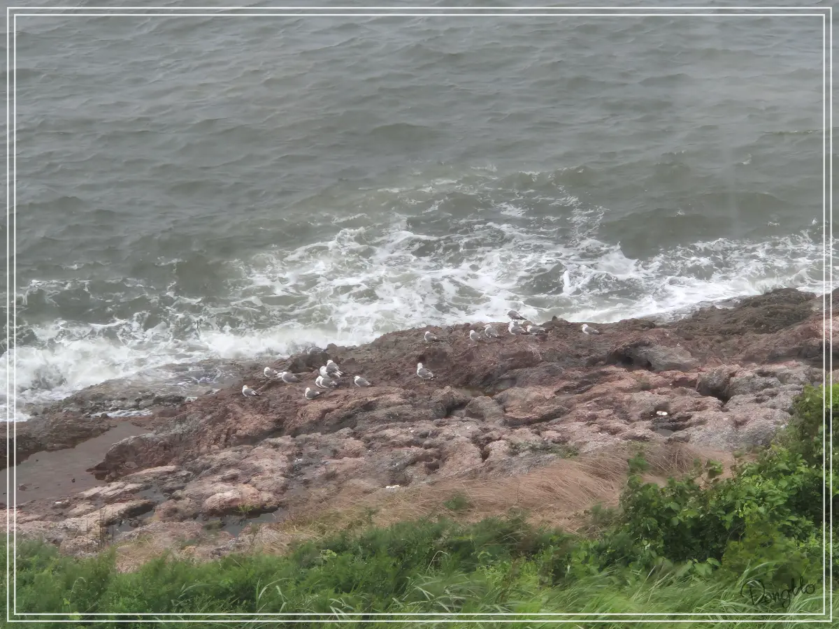 전라도-군산-가족여행-장자도-카페-라파르에서-바라본-바위와-갈매기