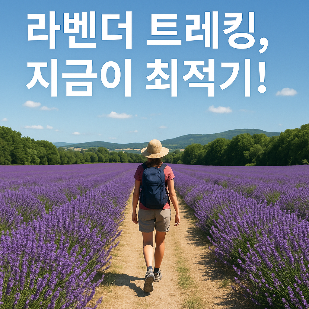 6월 라벤더 트레킹, 오감 힐링 여행