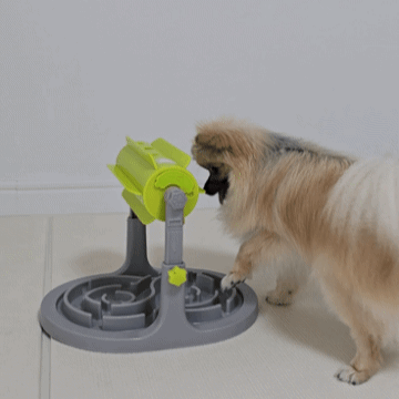 장난감을 돌려서 사료를 빼 먹는 강아지