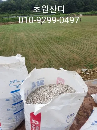 비료 주는 시기 기비 추비 요소 인산 가리 엽면시비_25