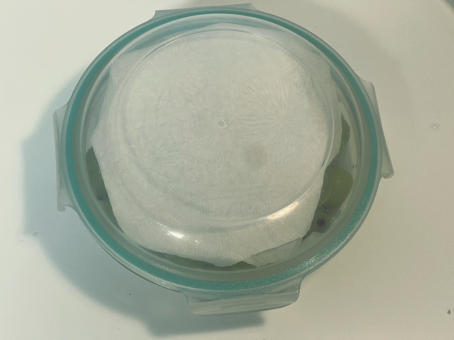 샤인머스켓 보관