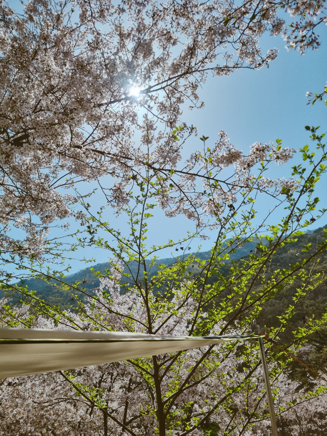 양산 무릉도원