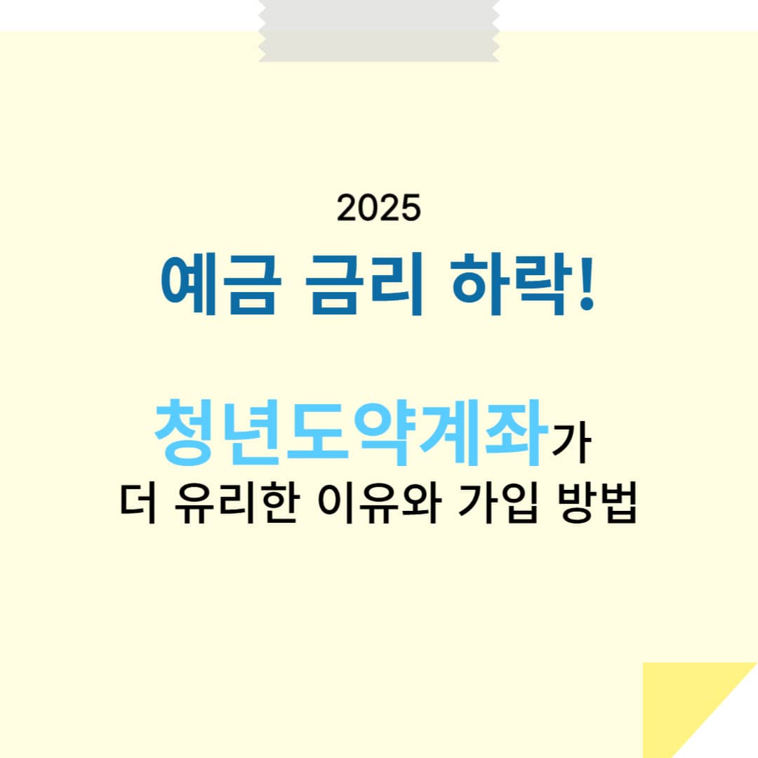 예금 금리 하락! 청년도약계좌가 더 유리한 이유와 가입 방법