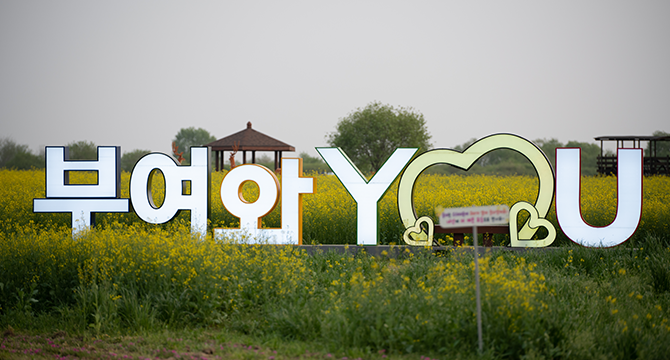 부여