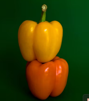 파프리카 효능 부작용 고르는법 칼로리