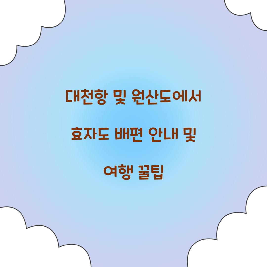 대천항 및 원산도에서 효자도 배편