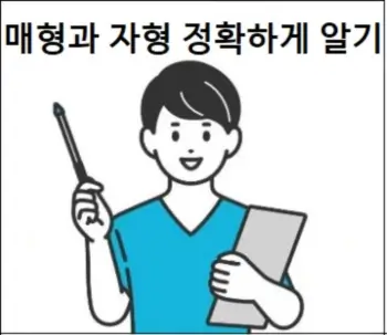 매형과 자형 정확하기 알기