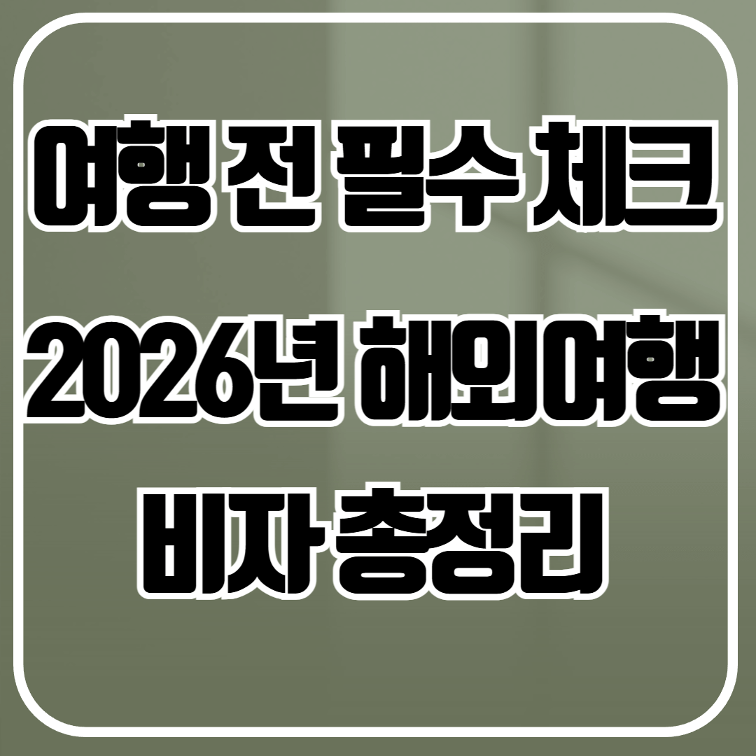 2026년 해외여행 비자 총정리