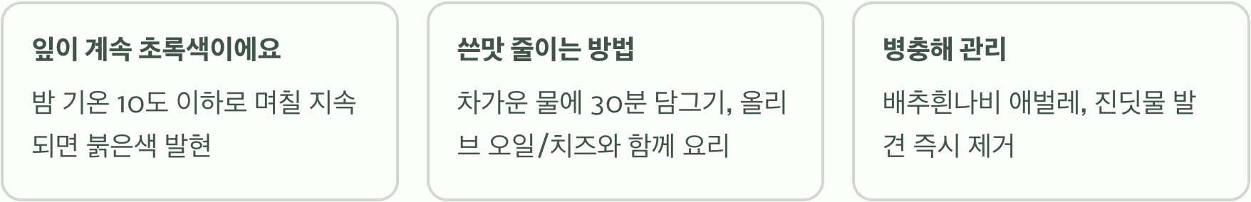 실패 없는 라디치오 키우기 A to Z (씨앗부터 수확까지)