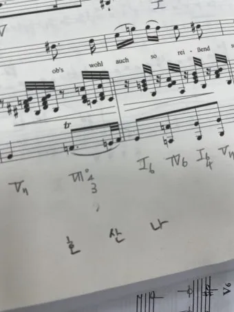 천주교 높은데서 호산나 뜻 사용법_16