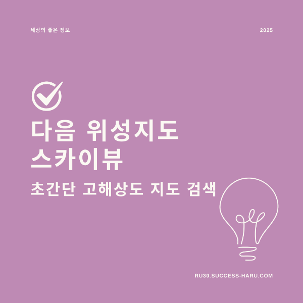 다음 위성지도 스카이뷰 지도 검색