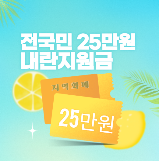 전국민 25만원 내란지원금