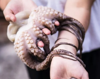 낙지 연포탕 만드는 법