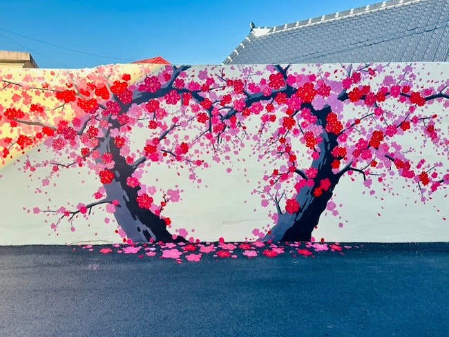 2026 순천 탐매마을 흑매 개화시기 주차 꿀팁 총정리 사진