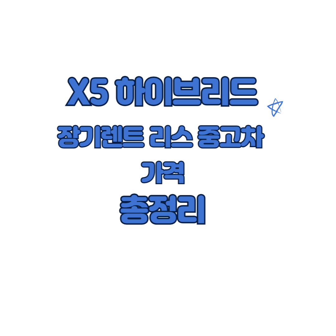 X5 하이브리드