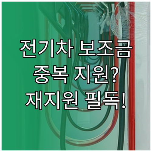 전기차 국고 보조금 중복 지원 기준 ..