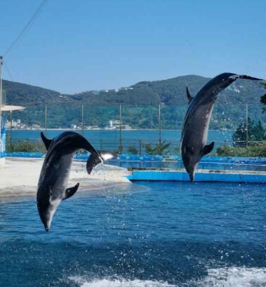 거제 가볼만한곳 베스트 10