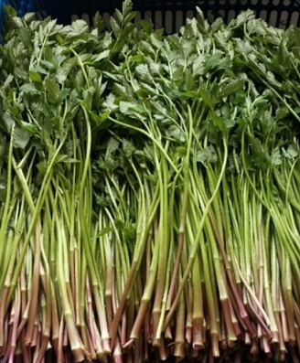 청도미나리-6시내고향