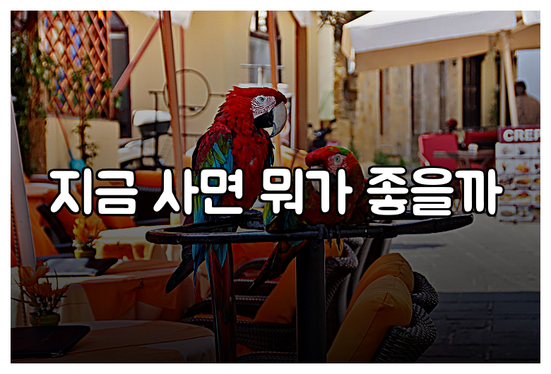 지금 사면 뭐가 좋을까
