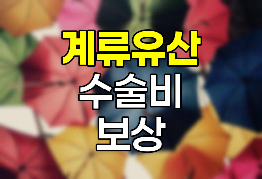 계류유산 수술비 보상 체계와 청구 노하우