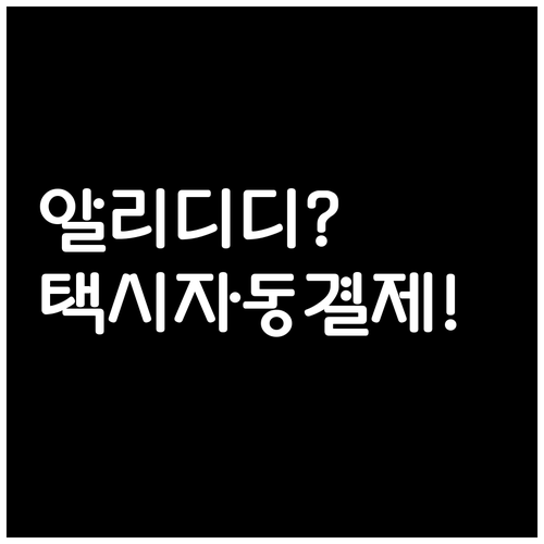 알리페이와 디디추싱으로 중국 택시 요..