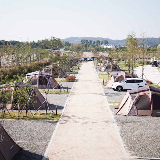 임진각평화누리캠핑장 예약