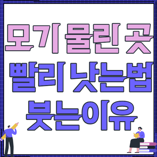 모기 물린곳 부음 이유 및 빨리 낫는방법