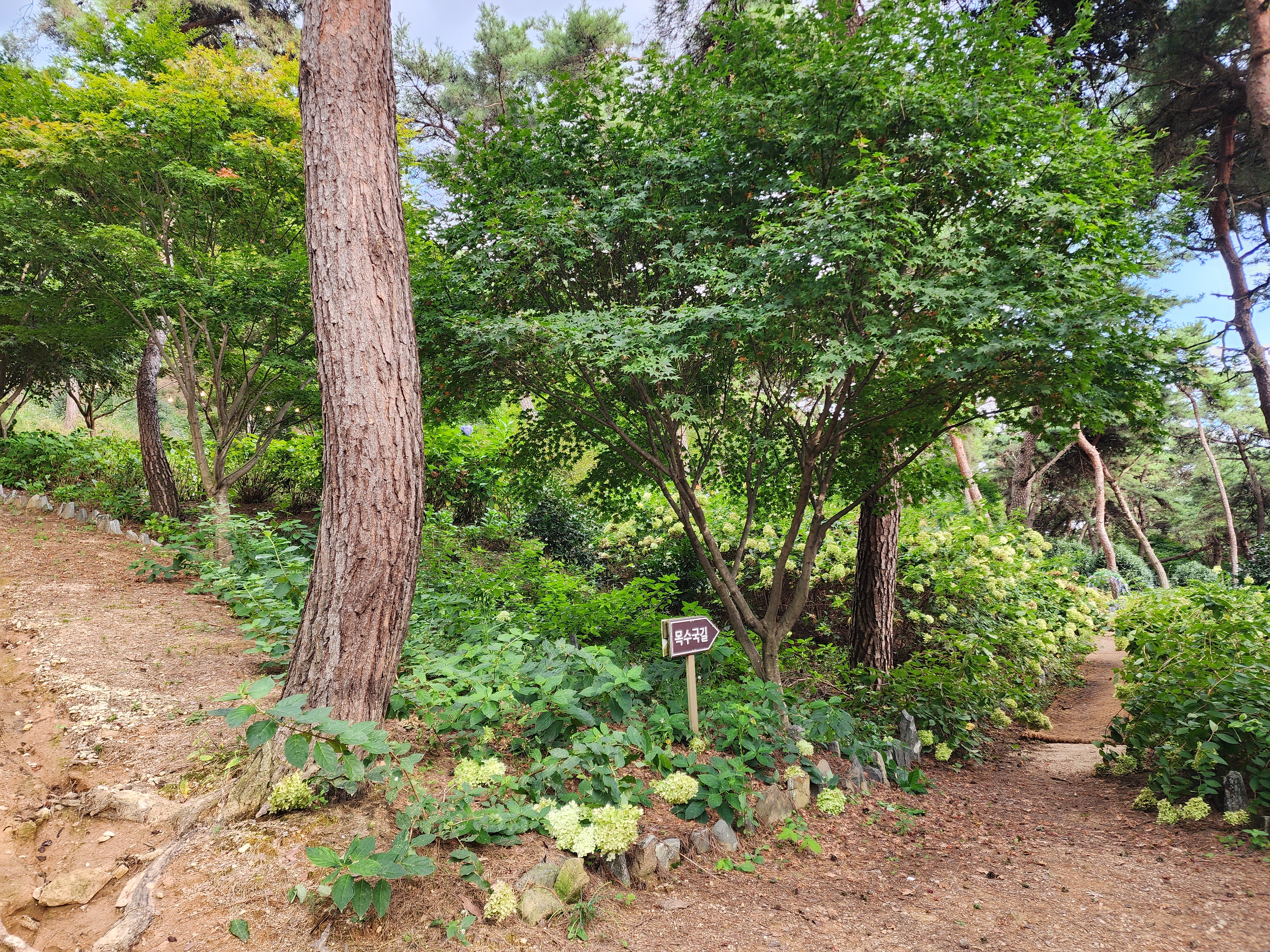 루몽드917 수목원