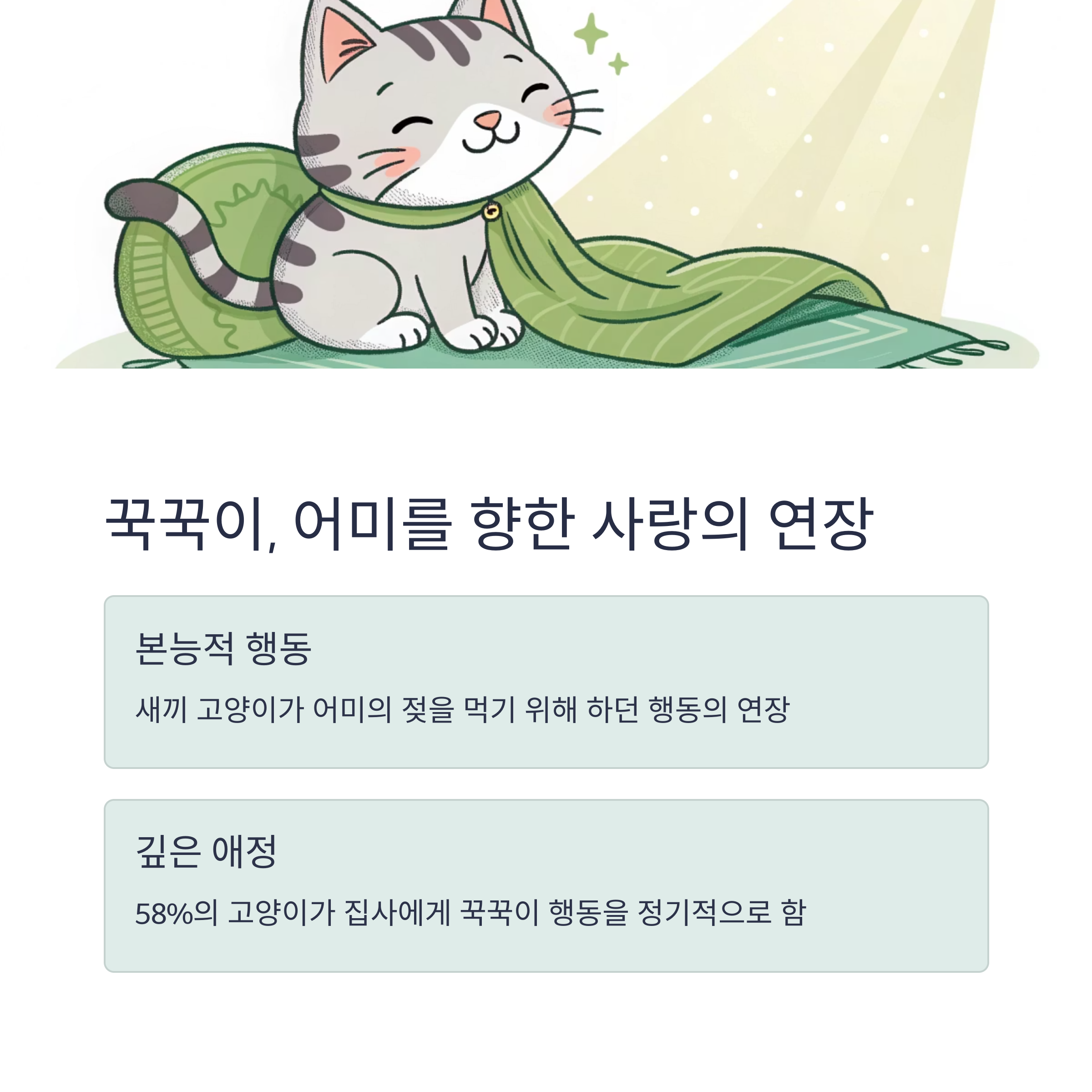 꾹꾹이, 어미를 향한 사랑의 연장