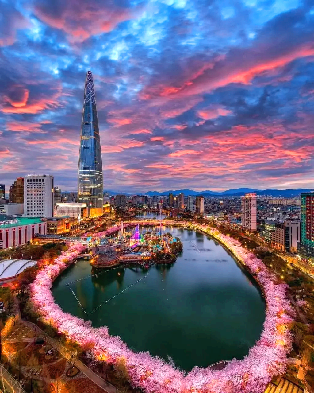 석촌호수 벚꽃축제