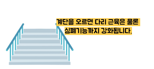 계단오르기 운동효과