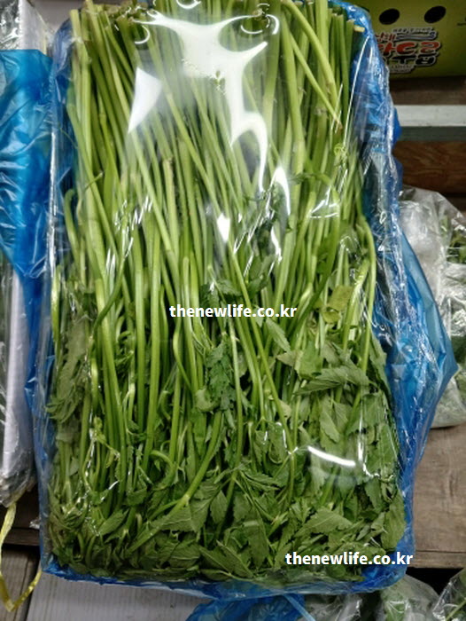 미나리 효능을 높이는 비타민 흡수와 삼겹살 궁합을 보여주는 실물 사진