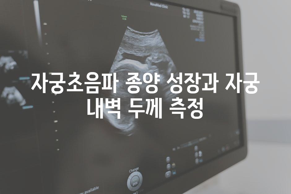 자궁초음파 종양 성장과 자궁 내벽 두께 측정