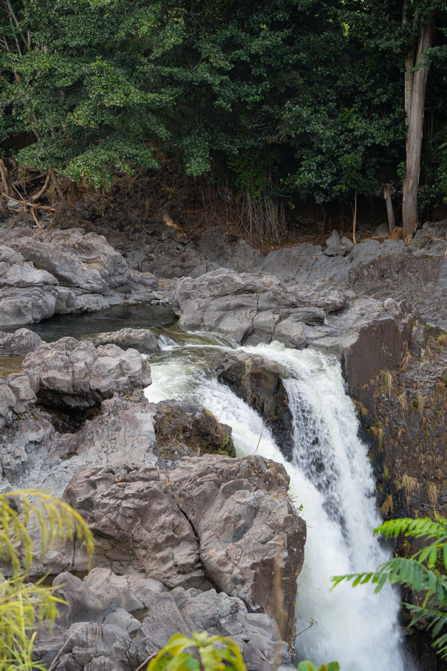 하와이 힐로 레인보우 폭포