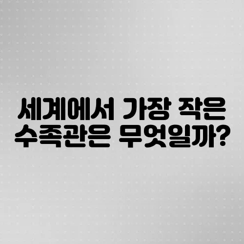 세계에서 가장 작은 수족관은 무엇일까?