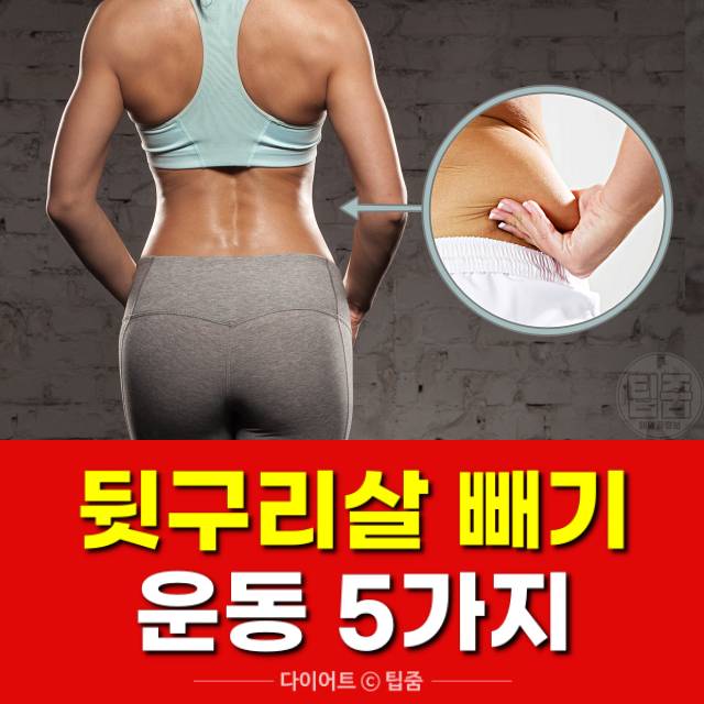 뒷구리살빼기 운동,팁줌