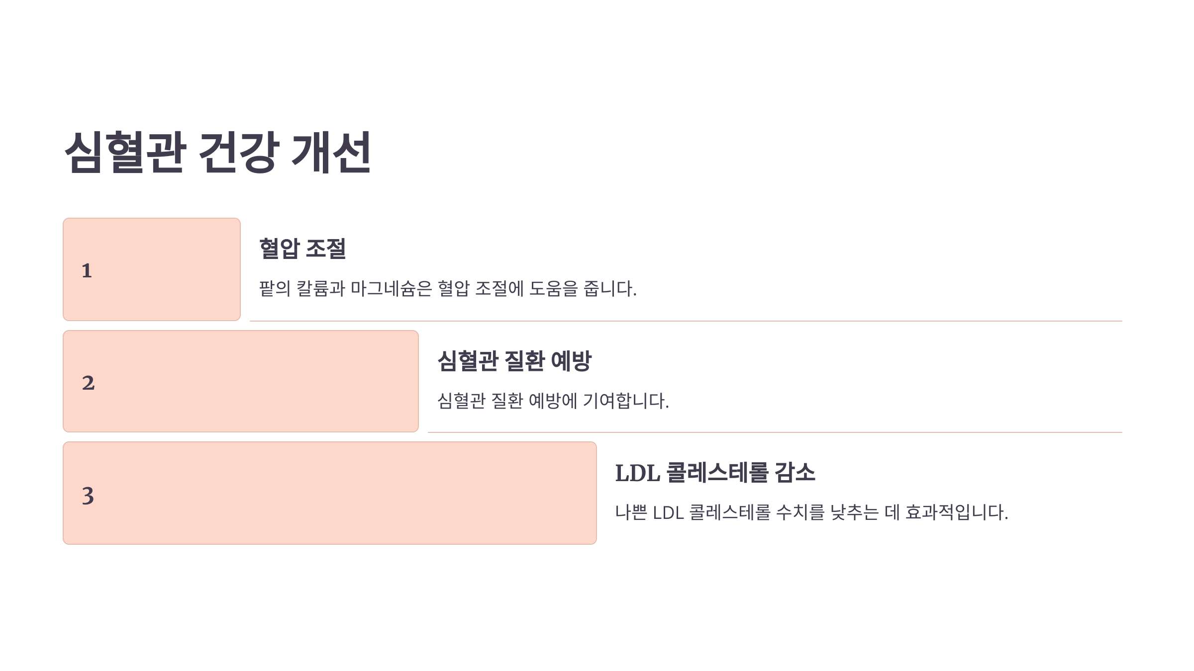 팥 사진입니다.