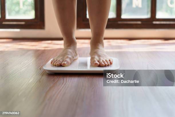 비만-관련-사진