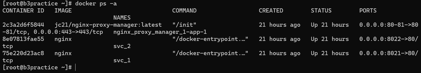 docker ps -a 프로세스 확인
