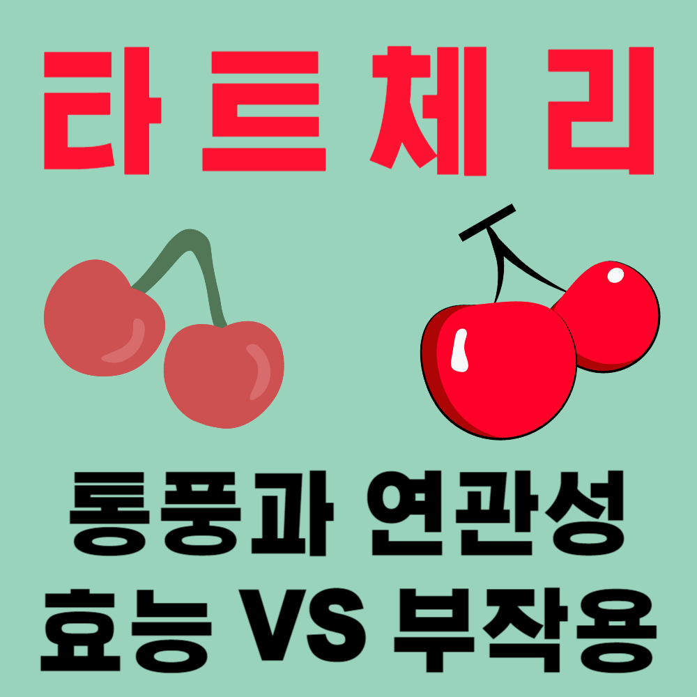 타트체리 통풍 연관성과 효능 vs 부작용