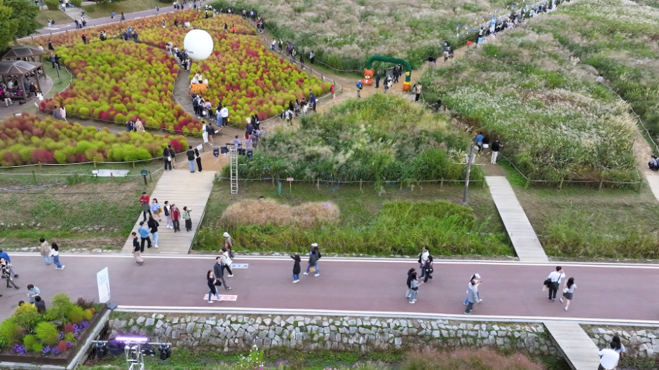 2025 서울 억새축제 정보 총정리 (10.18 토 ~ 10.24 금, 상암 하늘공원) 관련 사진