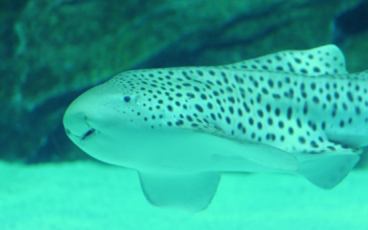 울진 아쿠아리움