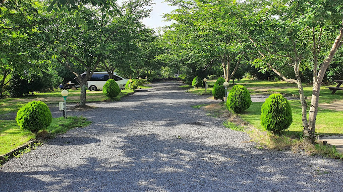 제주도 '벨리타 캠핑장' 미리보기