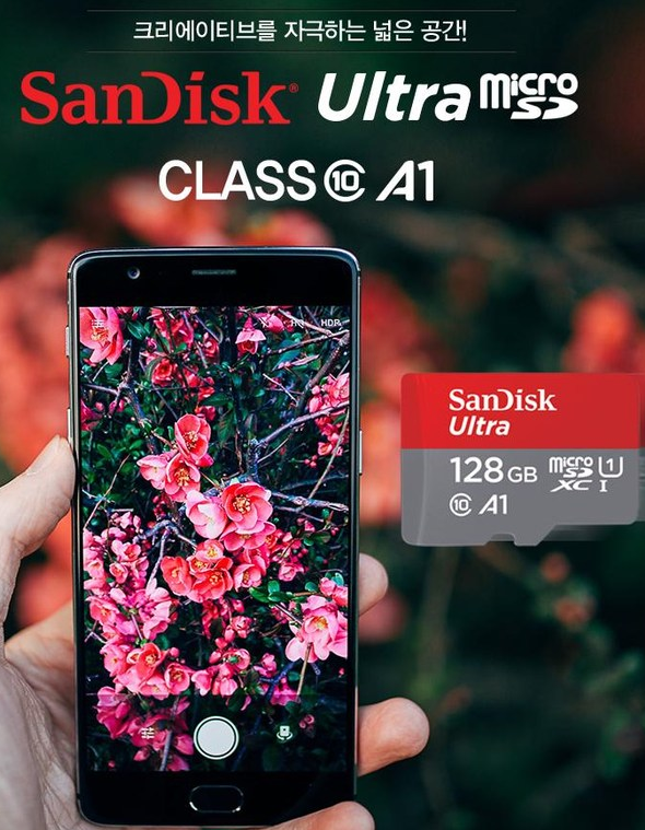 마이크로 sd카드&amp;#44;블랙박스 sd카드&amp;#44;샌디스크SD카드&amp;#44;삼성SD카드&amp;#44;SD카드512&amp;#44;닌텐도SD카드&amp;#44;고프로SD카드&amp;#44;SD카드128&amp;#44;SD카드256&amp;#44;SD메모리카드&amp;#44;CF카드&amp;#44;카메라 sd카드&amp;#44;미니SD카드&amp;#44;메모리카드&amp;#44;소니메모리카드&amp;#44;고프로메모리카드&amp;#44;샌디스크 메모리카드&amp;#44;SD메모리&amp;#44;메탈카드형USB&amp;#44;카드타입USB